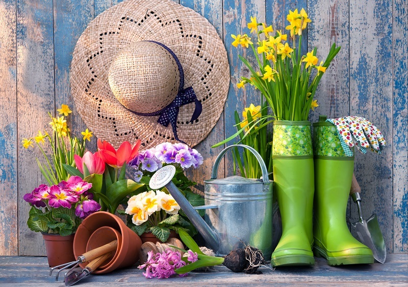 flowers / These flowers