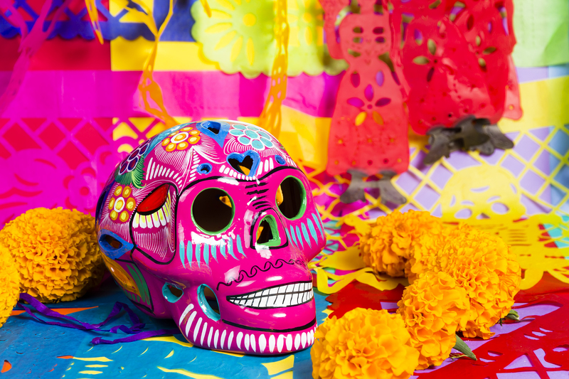 flowers / white flowers flowers / pink flowers