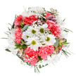 This exuberant bouquet, photographed from above on a pure white background, brings together the radiant hues and textures that define Hornsey's love of floral artistry. At its center, clusters of lively white daisies with vivid green centers bask in soft, natural light, set off by plush coral-pink carnations that radiate warmth and gentle sophistication. Wispy clouds of delicate baby's breath drift between the blooms, adding dimension and the whisper of a summer's breeze travelling through Priory Park. Slender stems tipped with unopened alstroemeria buds, each streaked in gentle shades of purple and pink, hint at ongoing cycles of growth and beauty. Eucalyptus foliage-both silvery-soft and deep rich green-creates a harmonious base, framing the round composition while introducing cool, calming fragrance reminiscent of local floral workshops. Crafted with intentional care, this bouquet embodies the joy and generosity found in Hornsey's close-knit neighbourhoods. Ideal for celebrating milestones, expressing heartfelt thanks, or simply bringing a dose of cheer into a cherished home, the arrangement stands as a visual and sensory testament to what expert floristry can offer.